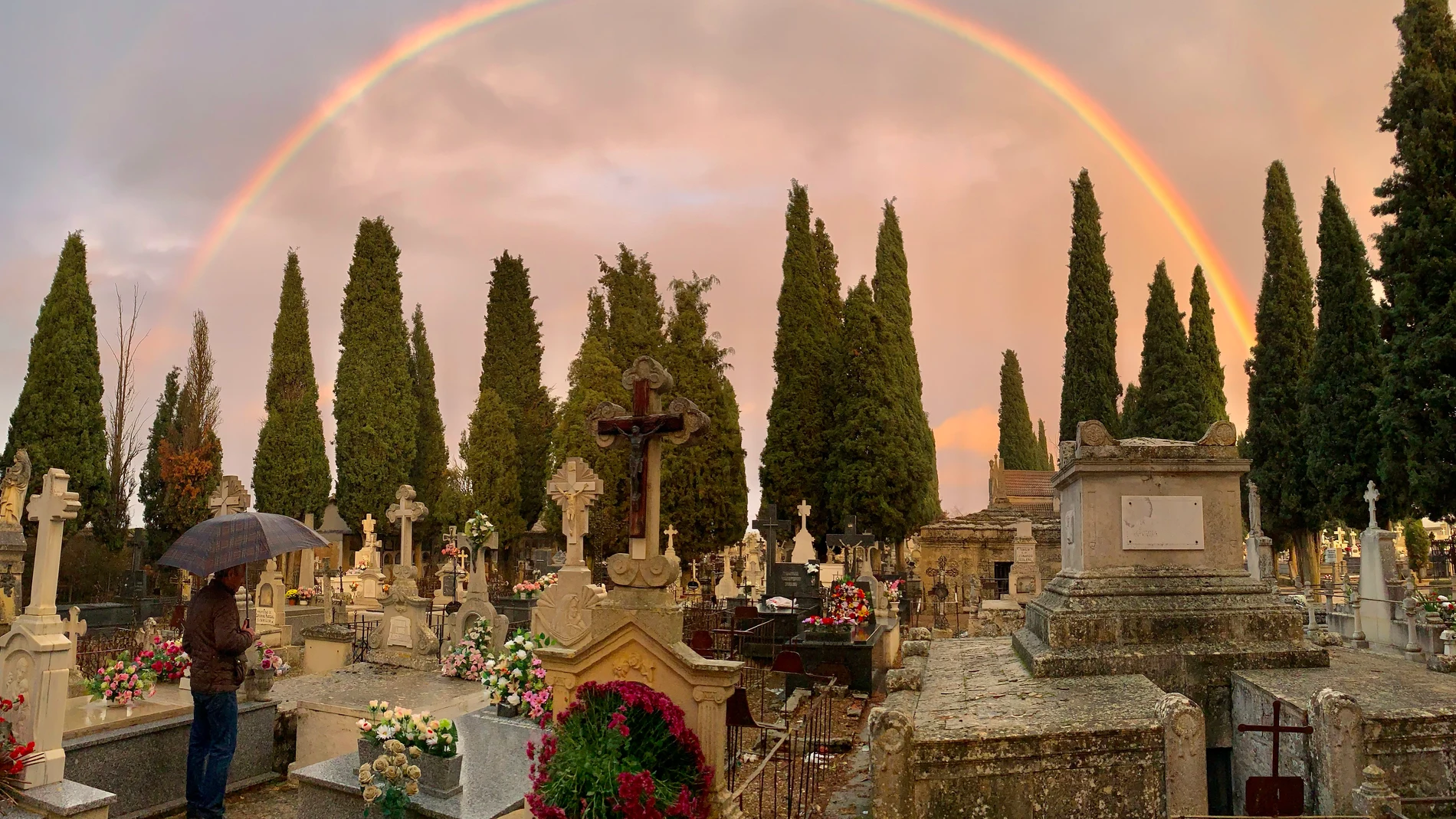 Cementerio municipal de Medina de Rioseco