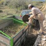 Las tractoradas han cesado pero los agricultores lo siguen pasando mal