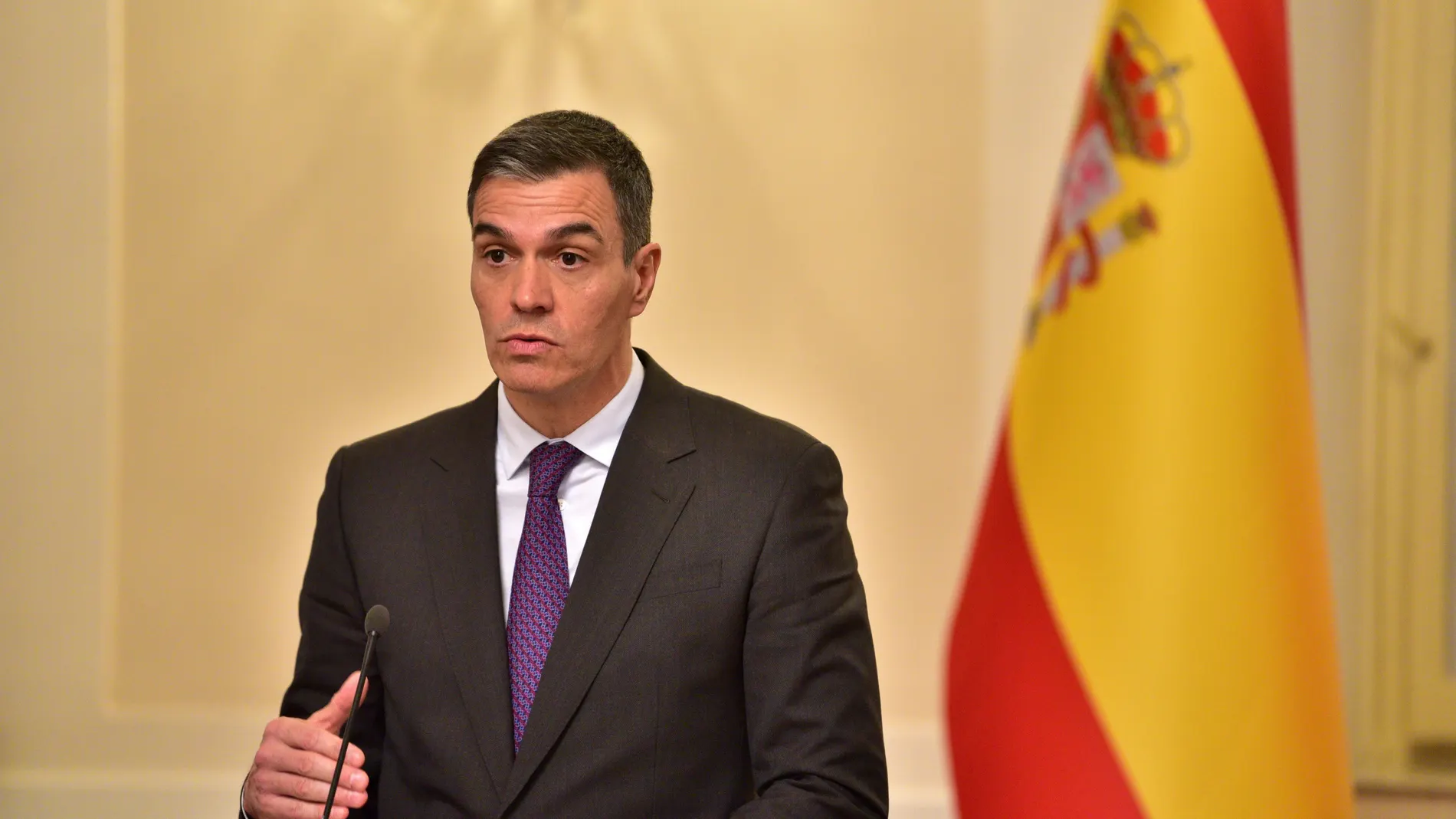 Ljubljana (Slovenia), 16/04/2024.- Spanish Prime Minister Pedro Sanchez talks during the joint press conference with Slovenia's prime minister following their meeting in Ljubljana, Slovenia, 16 April 2024. The Spanish prime minister is on an official visit to Slovenia. (Eslovenia, España) EFE/EPA/IGOR KUPLJENIK
