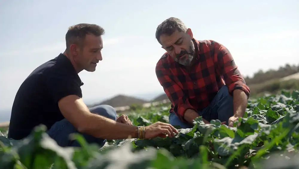 La empresa tiene como prioridad la búsqueda de soluciones innovadoras que aporten seguridad y dinamismo al desarrollo sostenible de los productos agrícolas ecológicos