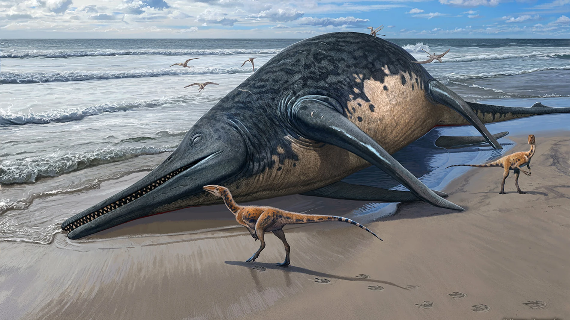 Dinosaurios