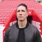 Fernando Torres