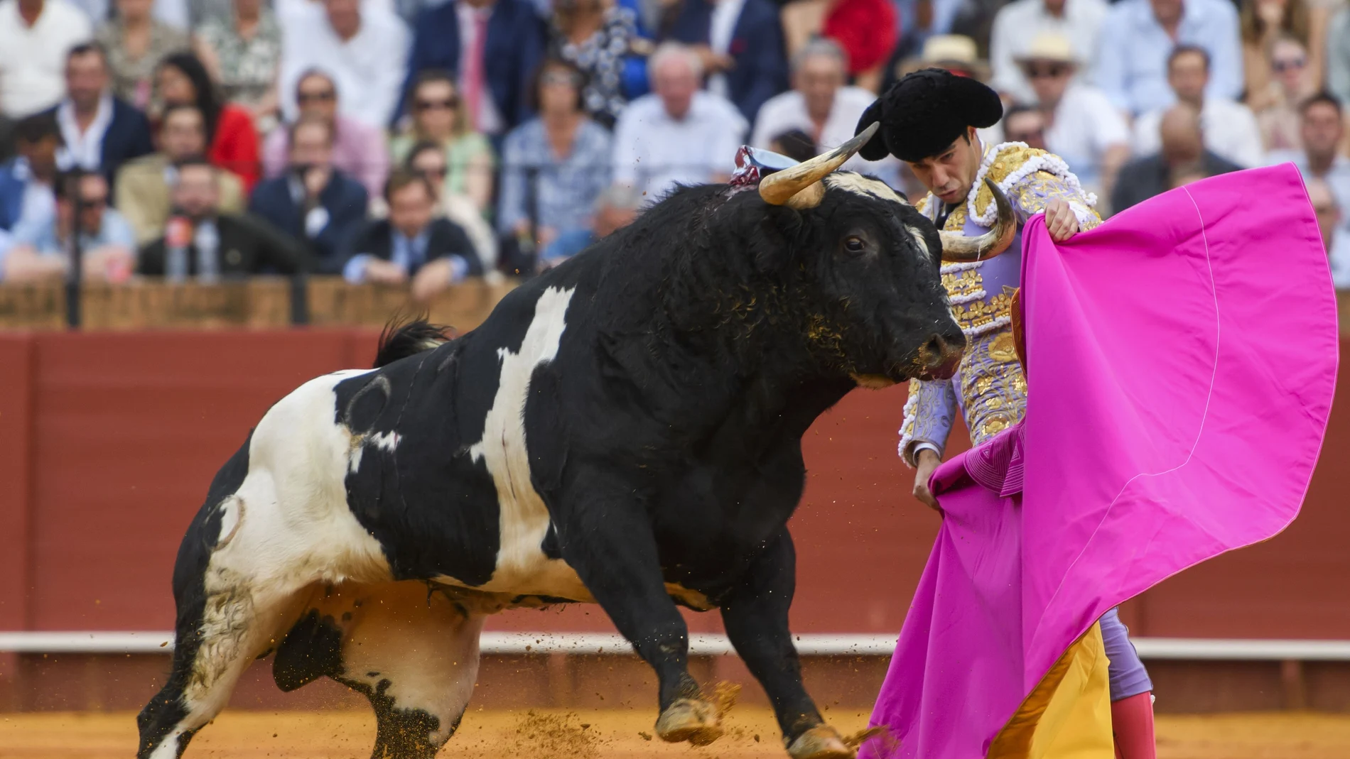 El diestro Tomás Rufo con su primer toro de la tarde en el festejo de la Feria de Abril que se celebra este viernes en la Real Maestranza de Sevilla.