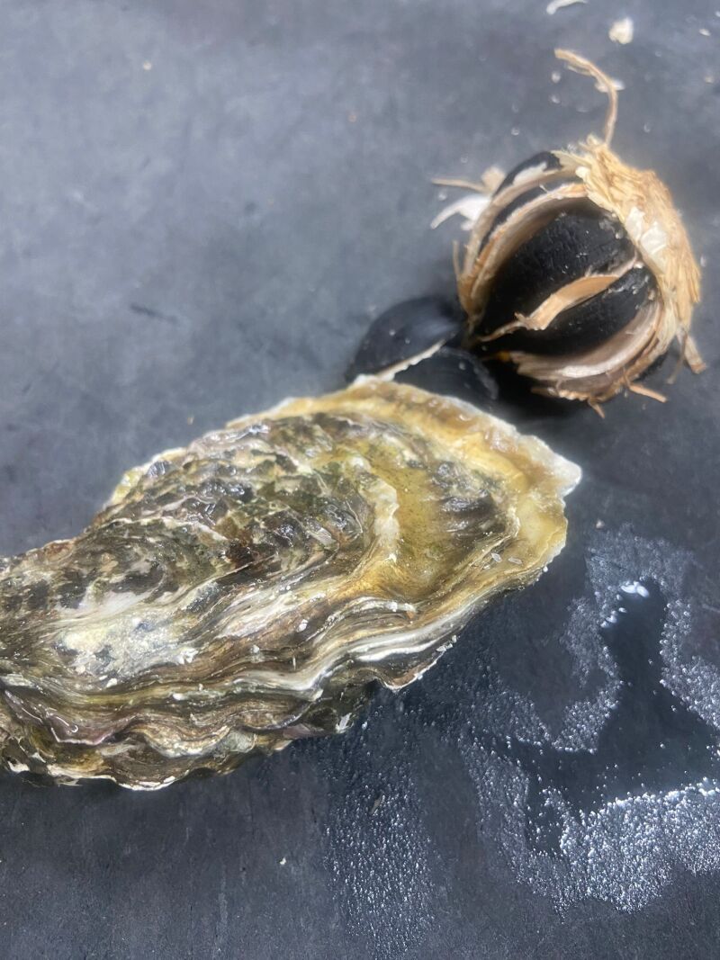 Ostra con 'beurre blanc' de ajo negro y palo cortado