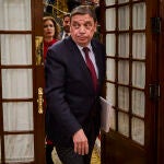 Luis Planas, durante una sesión de control al gobierno en el Congreso de los Diputados. 