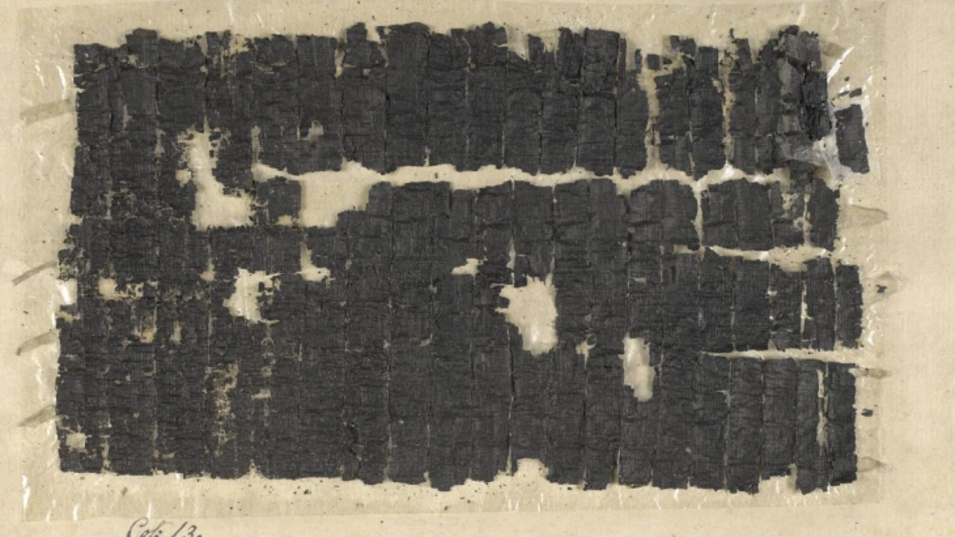 Uno de los papiros de Herculano, desenrollado, en la British Library