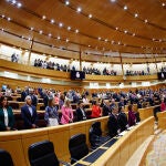 PLENO DEL SENADO