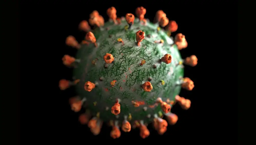 La imagen de un virus
