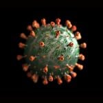 La imagen de un virus