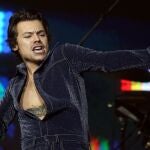 Una mujer ha sido condenada a prisión tras acosar a Harry Styles 