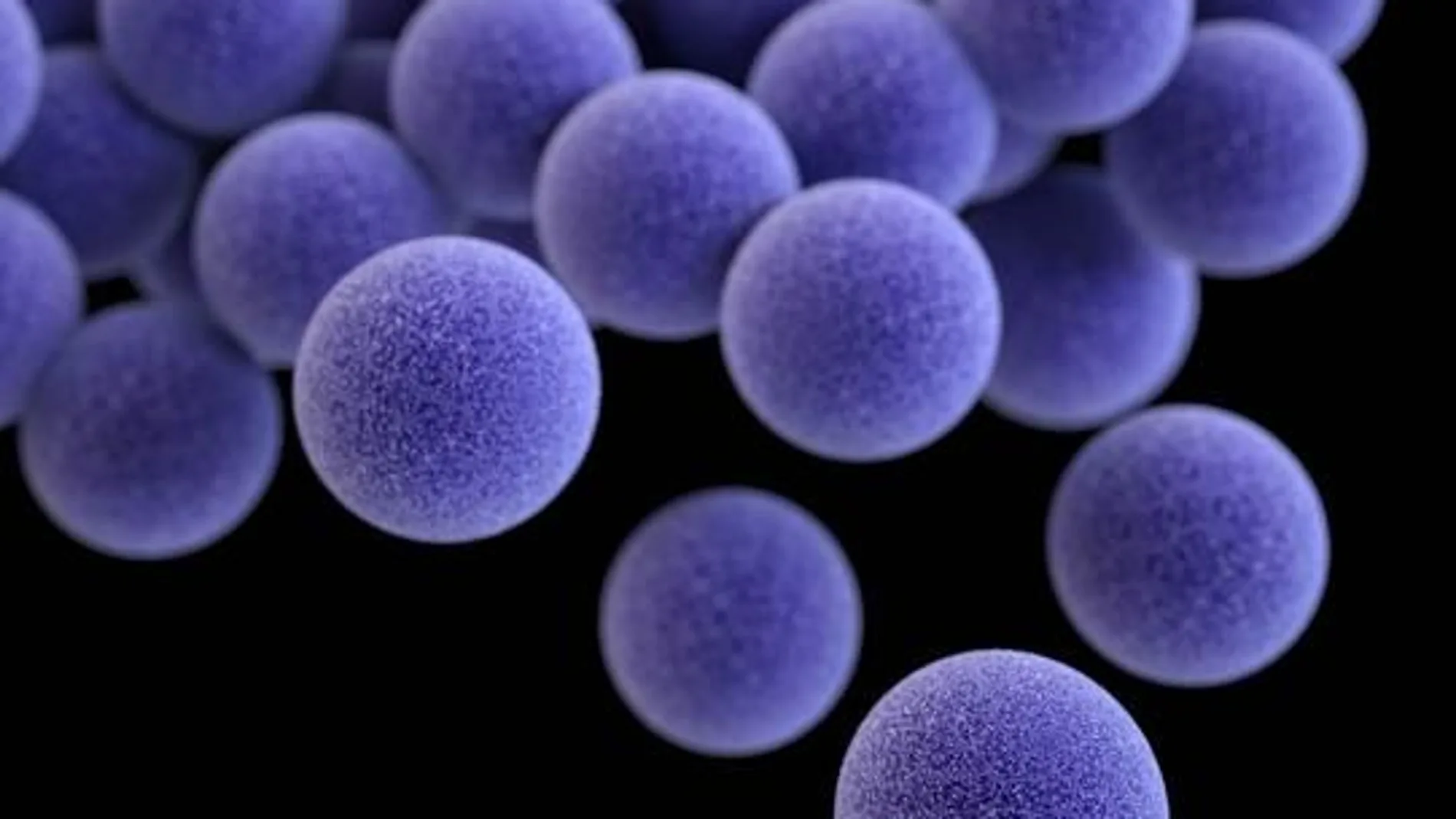 Recreación artística de MRSA
