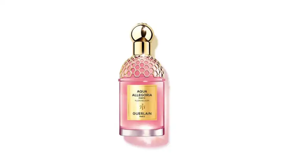 'Florabloom Forte'.