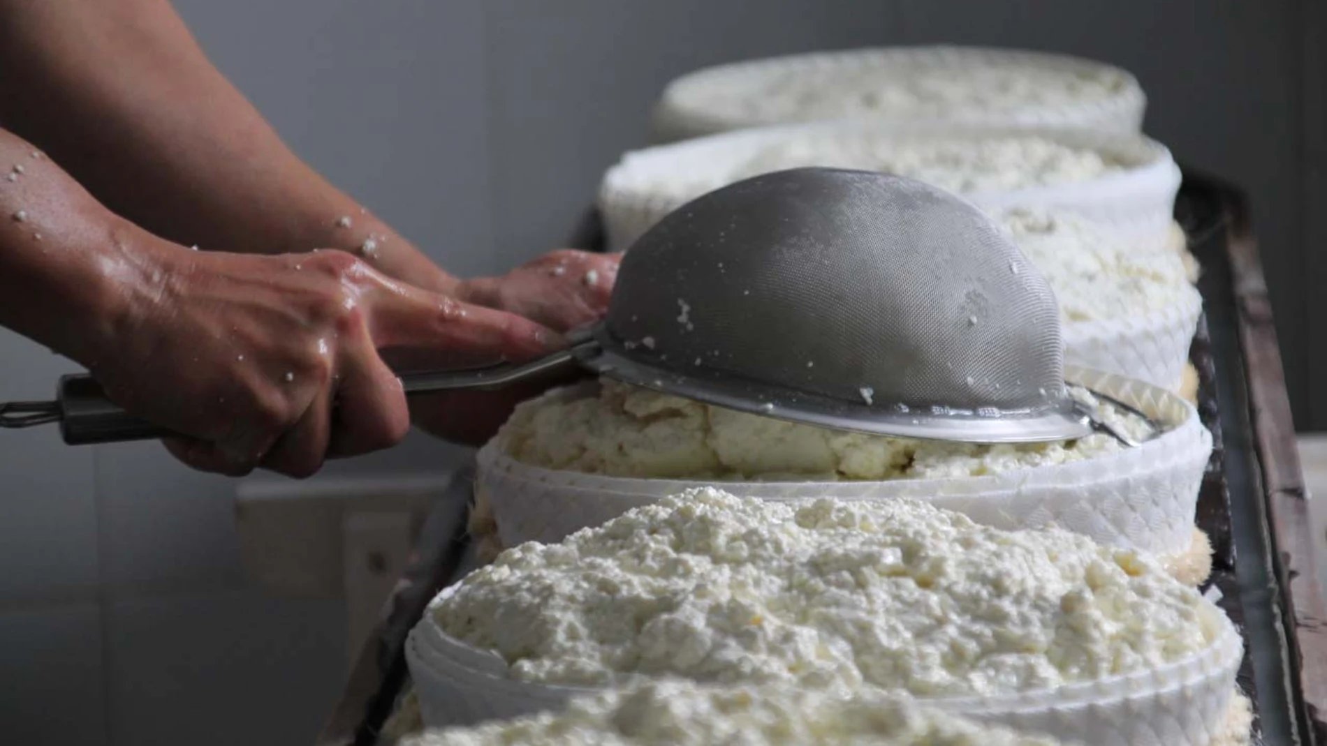 El sector del queso ha resistido con enormes dificultades por la subida de los costes de producción