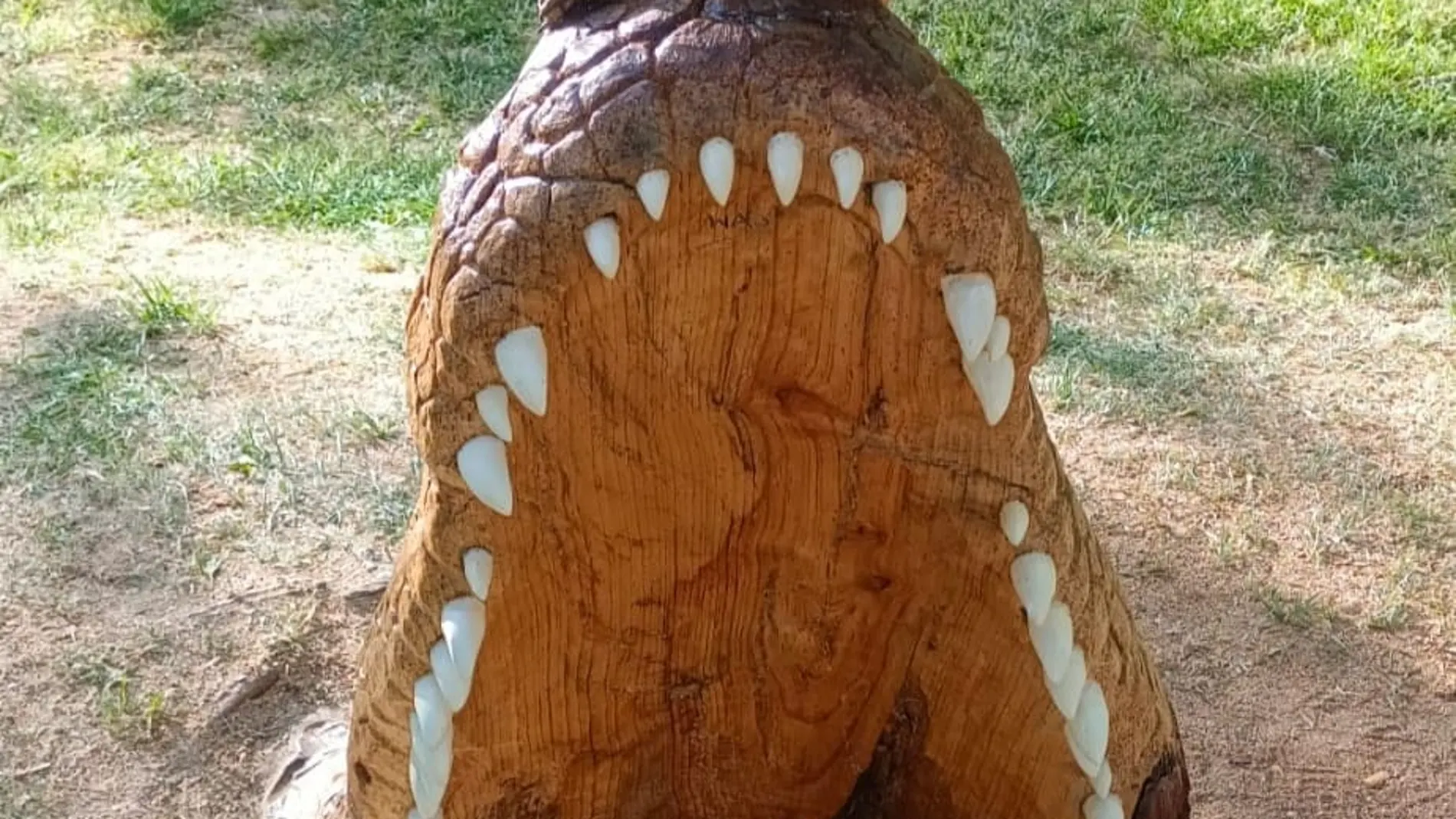 Escultura de la cabeza de cocodrilo emergiendo del agua en Zamora