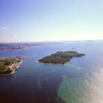 Isla de Cortegada. 