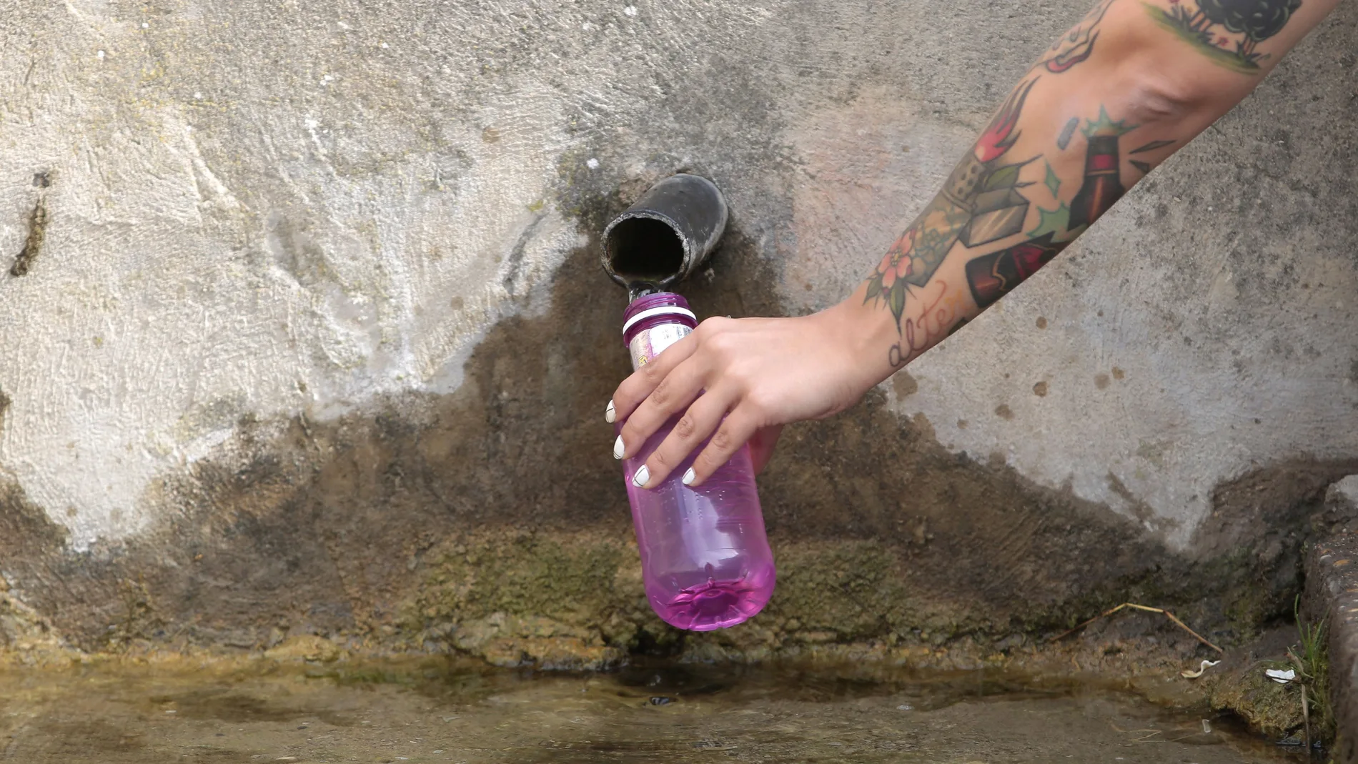 La mitad de las aguas subterráneas analizadas en la cuenca del Duero supera el máximo de nitratos que establece la ley y baja al 9% en las superficiales