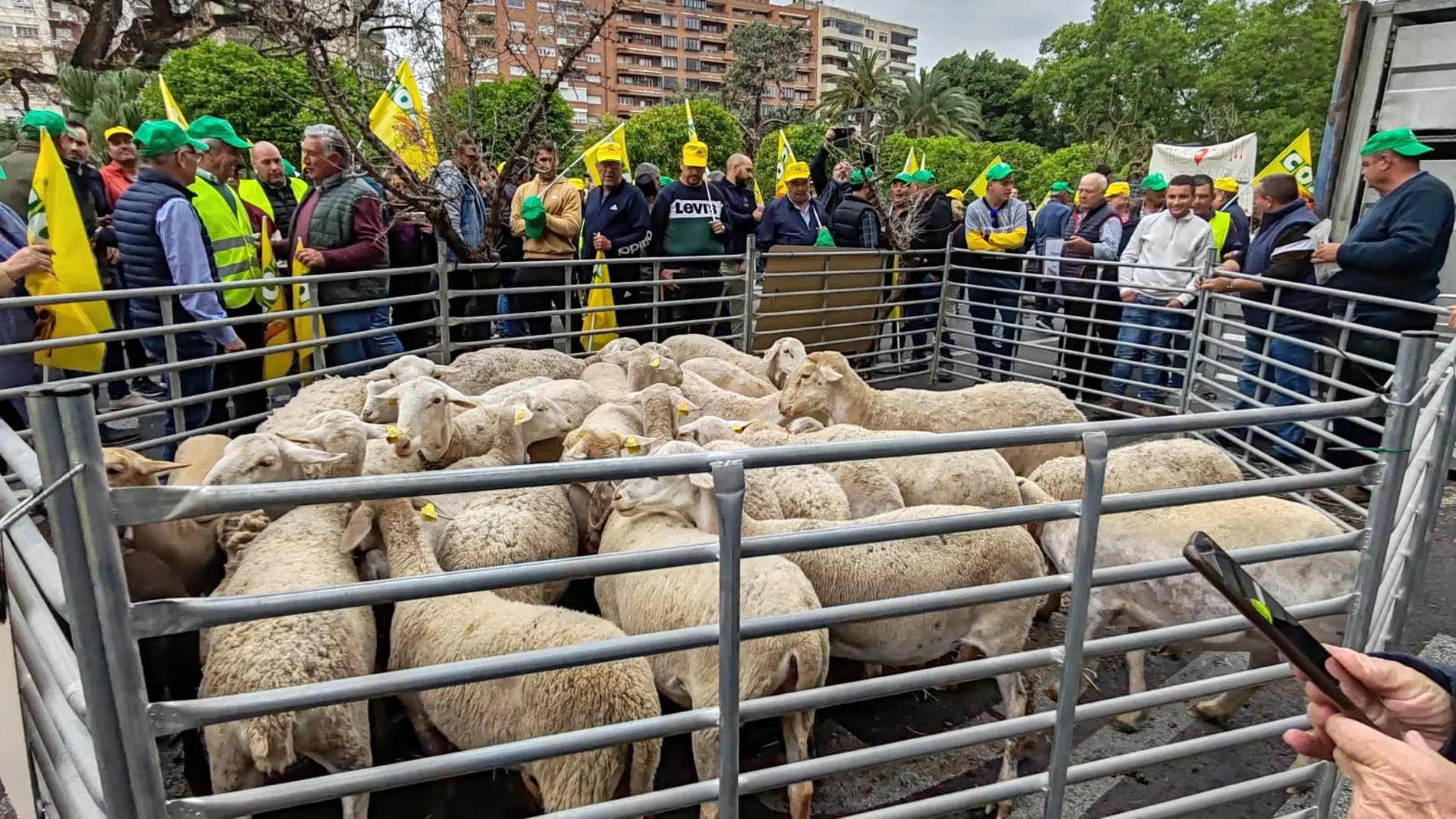Agricultores y ganaderos de la Región de Murcia se concentran frente a la Delegación del Gobierno