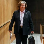 Comisión Mixta para las relaciones con el Tribunal de Cuentas