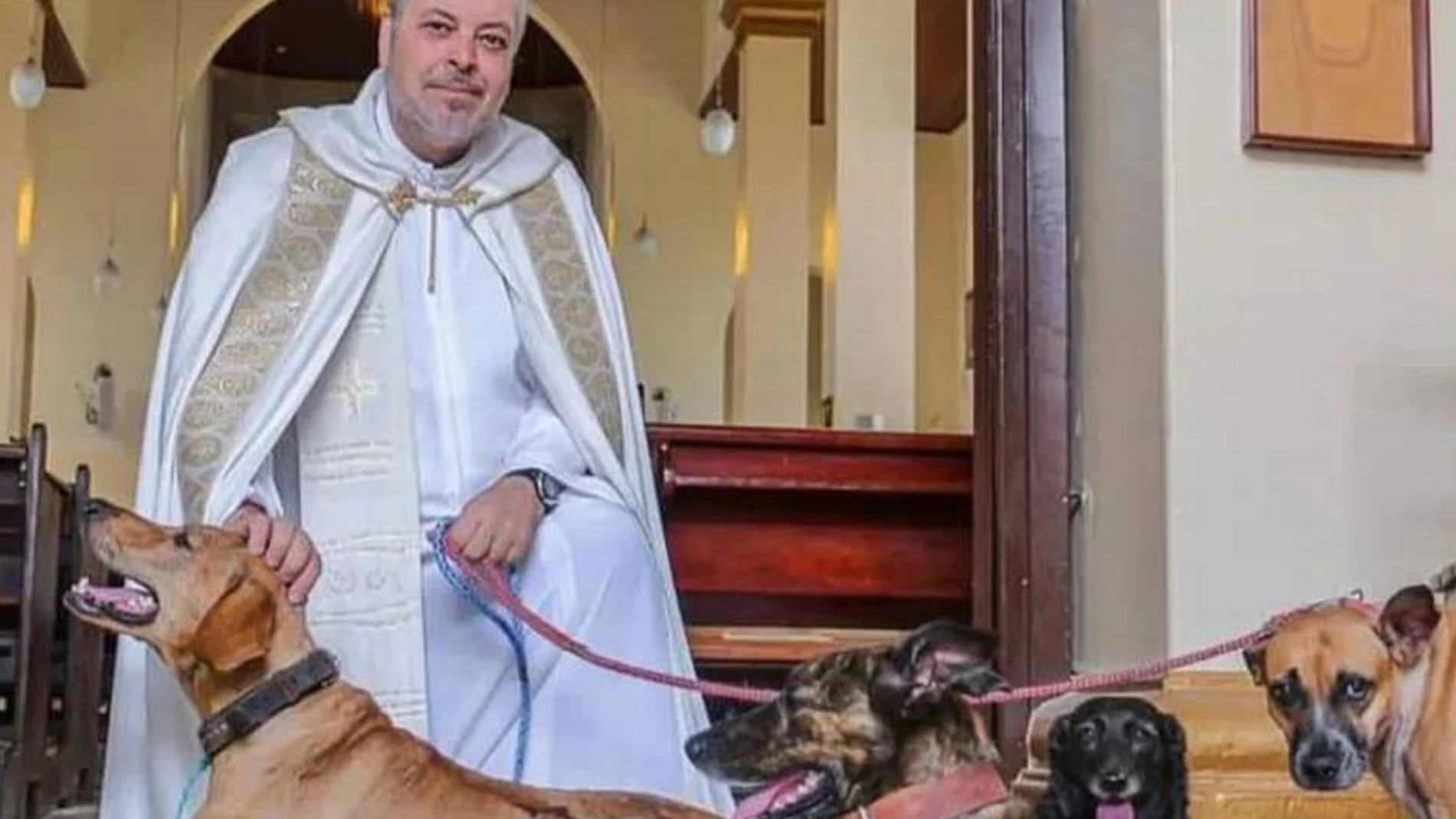 Sacerdote rescata y presenta perros abandonados en misas para su adopción