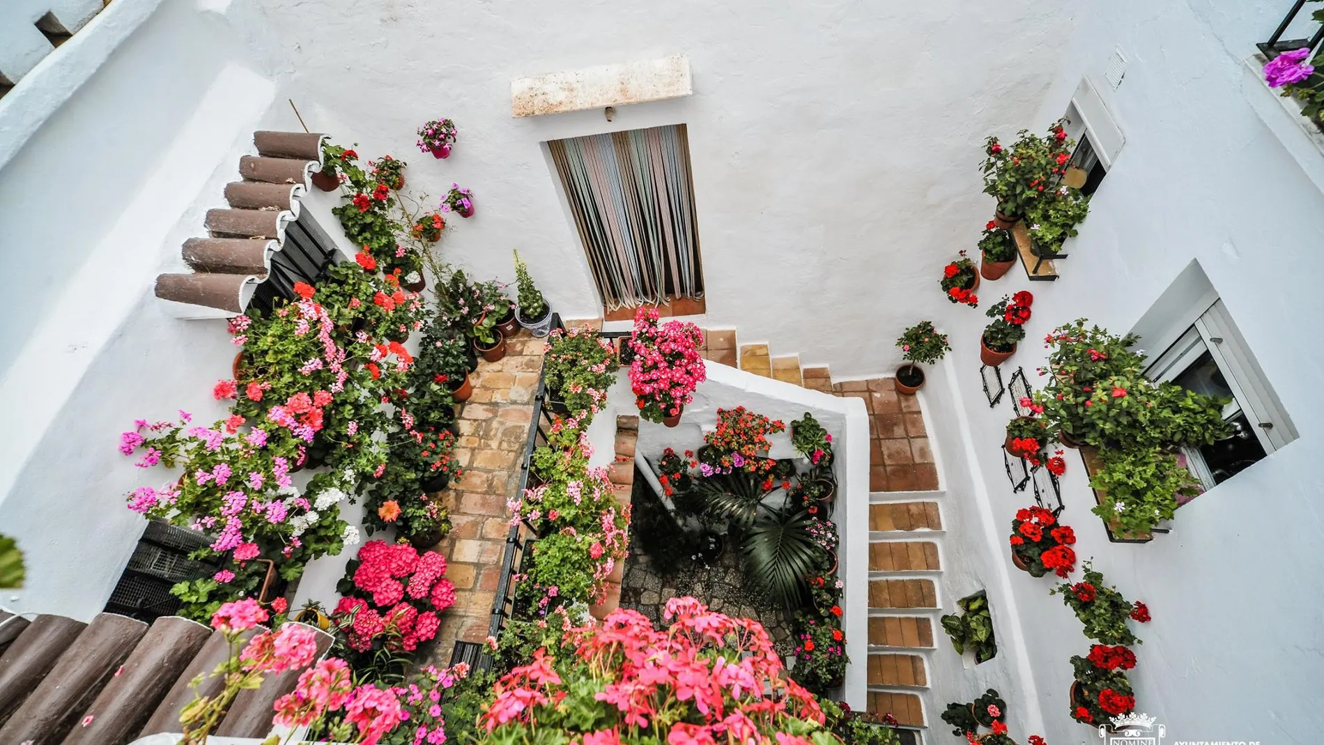 Patio premiado en la anterior edición de 2023