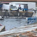 Vertido de fueloil en el puerto de Ceuta.