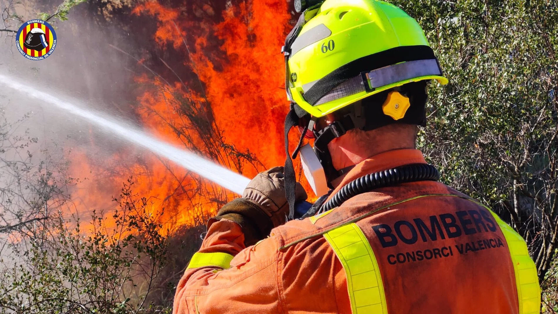 Un incendio forestal obliga a confinar una urbanización en Riba-roja de Túria (Valencia)