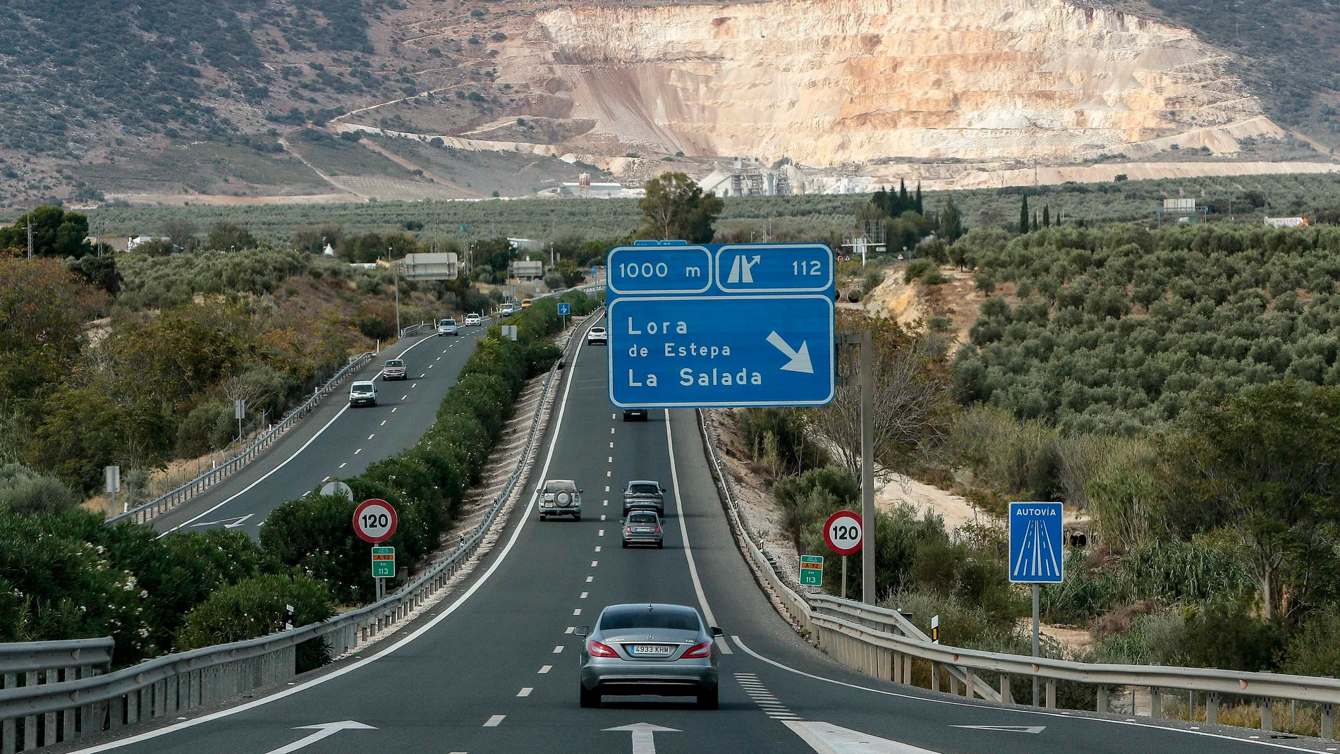 Autovías "verdes": 4.200 plantas y arbustos para las carreteras de Sevilla, Huelva, Córdoba y Cádiz
