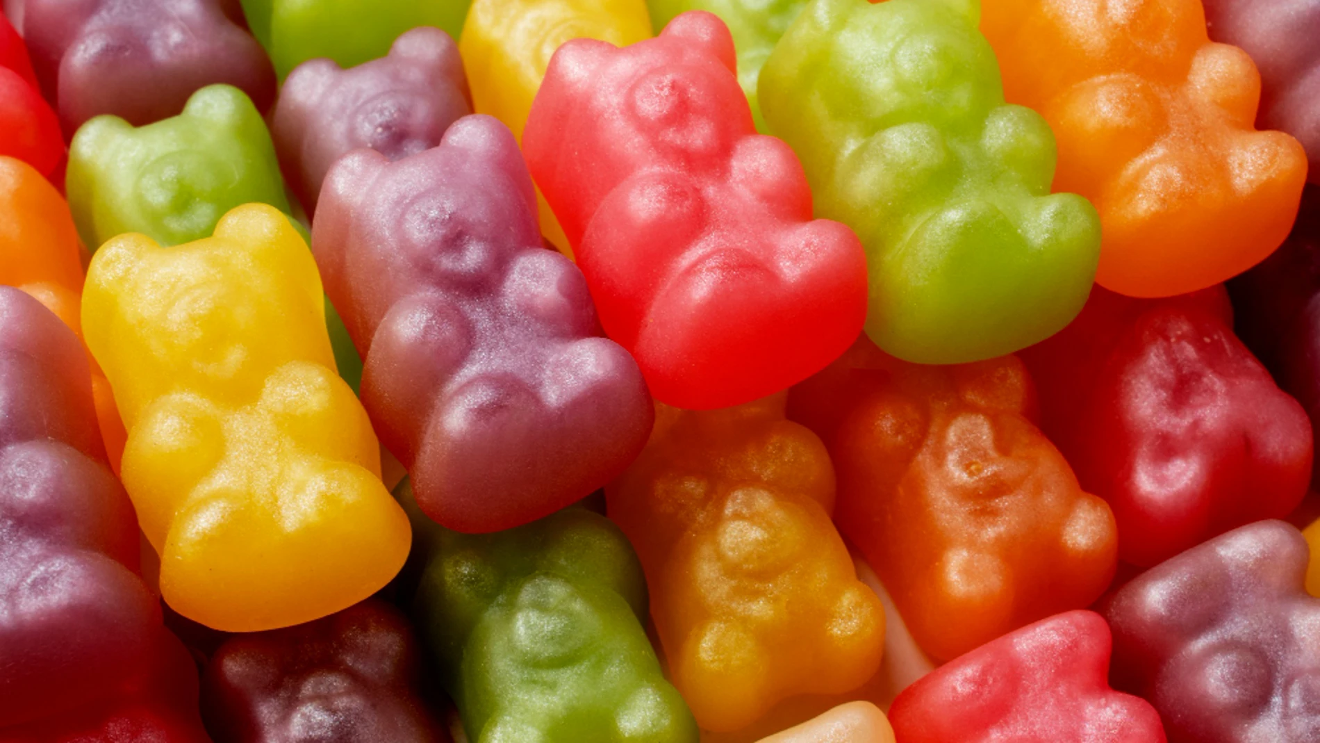 ositos gominola de colores