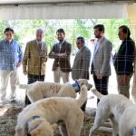 García-Gallardo visita el Salón del Campo en Madrid