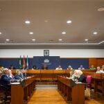 Aprobada definitivamente la retirada de la Medalla de la Ciudad de Motril a Franco
