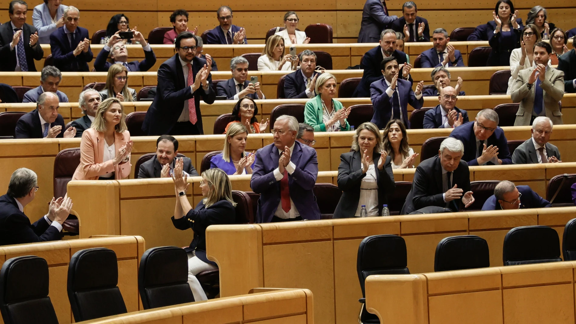 MADRID, 14/05/2024.- Los senadores populares aplauden tras la aprobación este martes el veto del PP a la proposición de ley de amnistía, que deberá volver al Congreso para recibir la luz verde definitiva y entrar en vigor, tras el pleno del Senado. EFE/ Fernando Alvarado