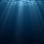 Estos agujeros son conocidos por su color azul intenso, que se debe a la profundidad del agua y a la poca luz que penetra en las profundidades