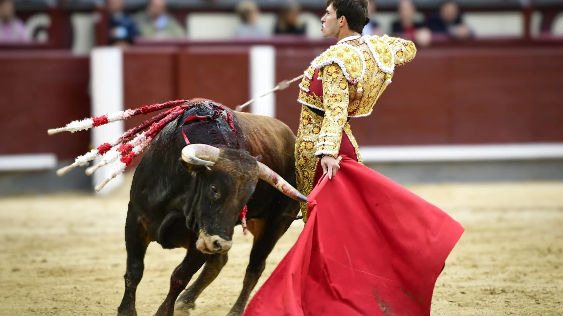 Samuel Navalón, muy serio en Madrid tan recién llegado