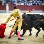 Paco Ureña, con su primero