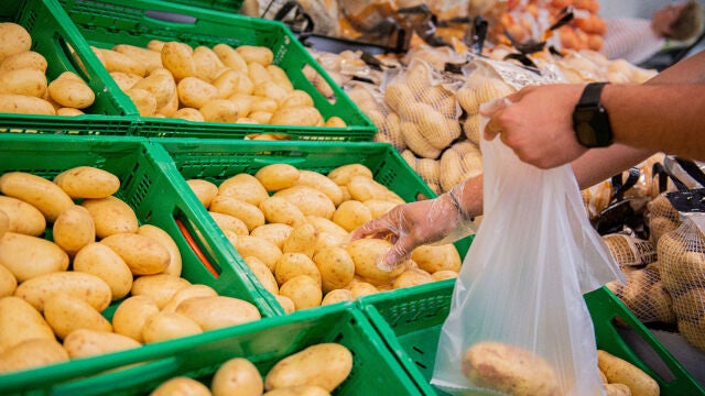 Mercadona prevé comprar 68.000 toneladas de patatas de Castilla y León Mercadona prevé comprar 68.000 toneladas de patatas de Castilla y León