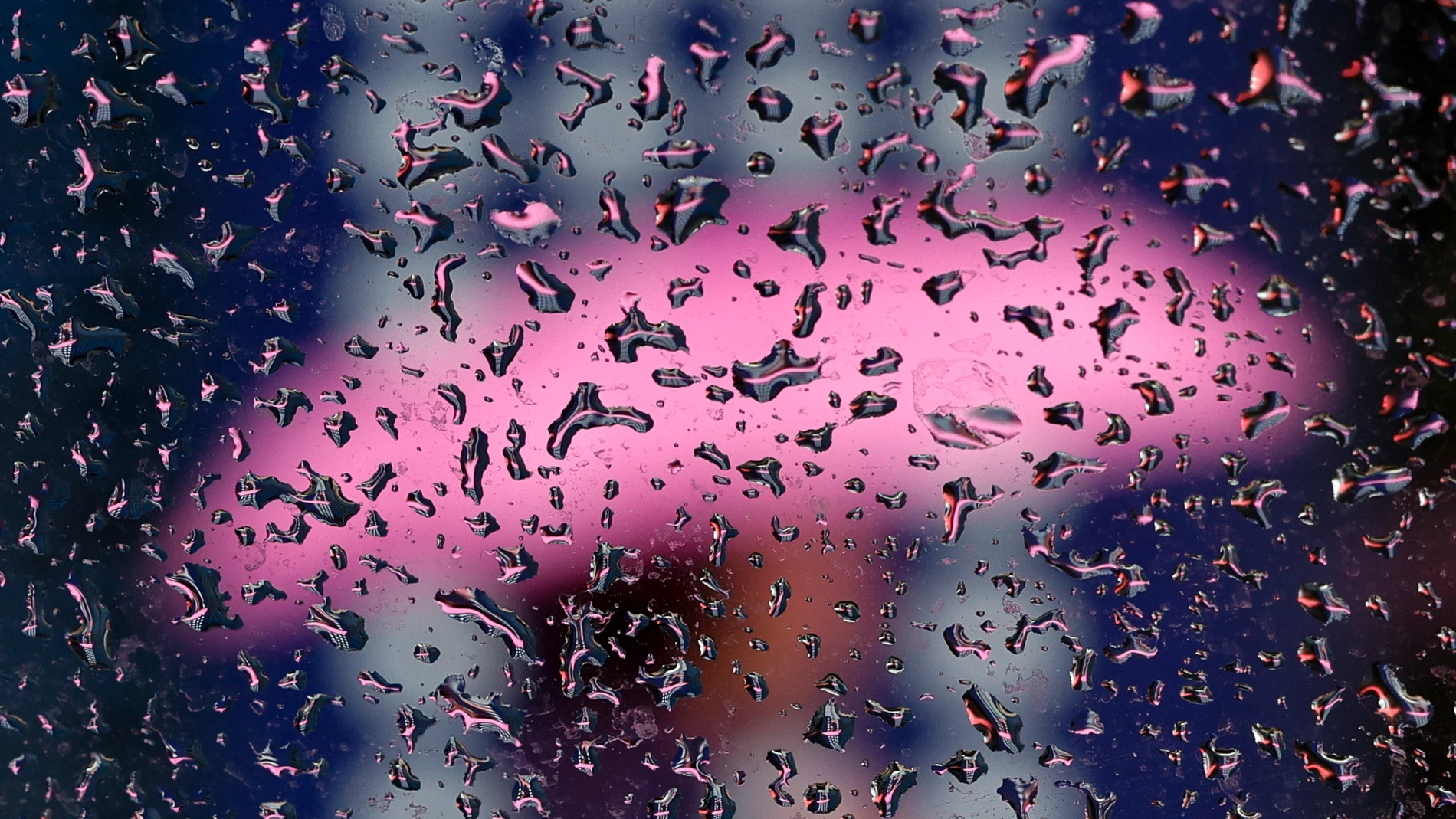 Detalle las gotas de agua sobre un cristal
