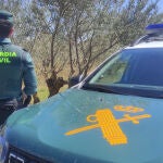 Agente de la Guardia Civil junto a su coche.