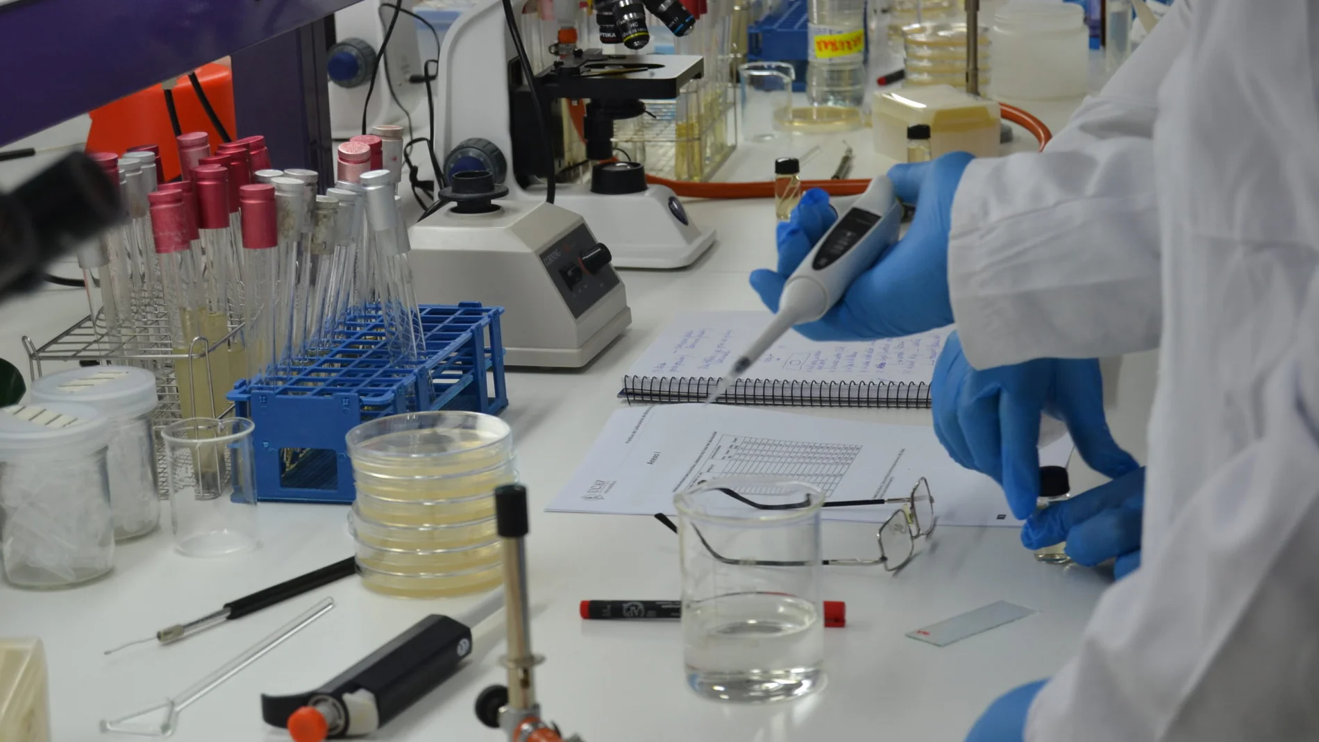 La UCAV, primera universidad de la región en gestión de investigación y segunda en tasa de éxito
