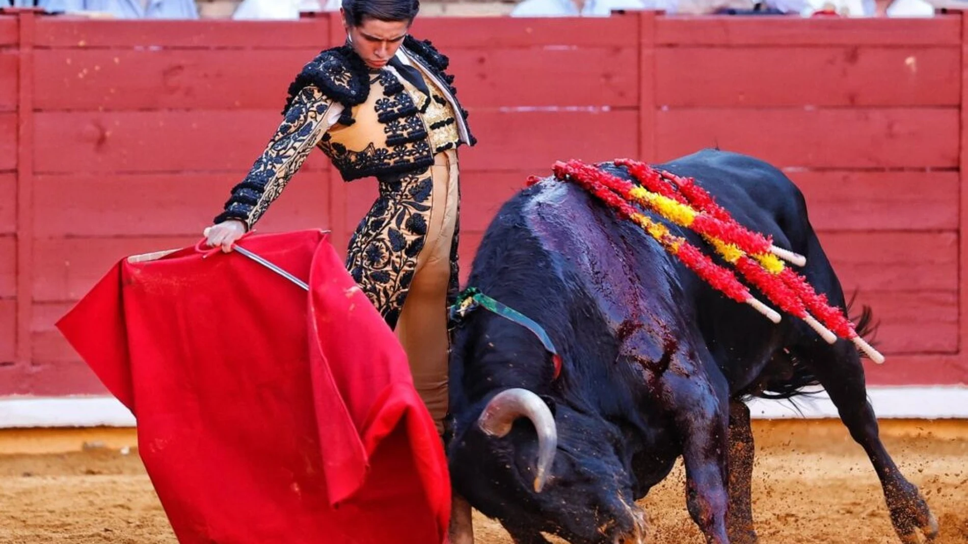 Una oreja para Ventura y otra para Manuel Román en la mixta de Córdoba