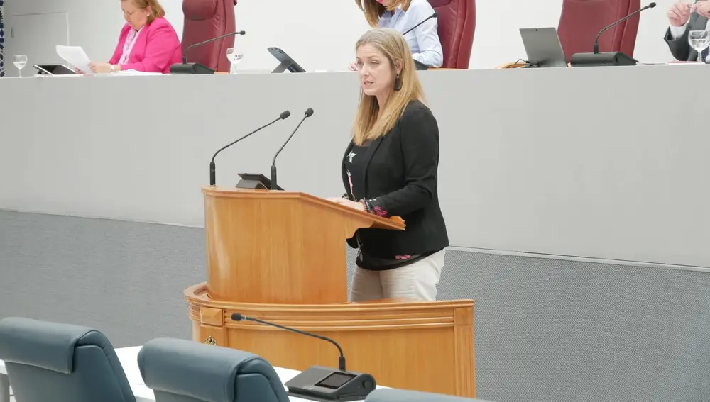 Imagen de la diputada del PP María Casajús, defensora de la iniciativa