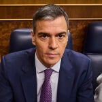 Sesión Plenaria en el Congreso de los Diputados