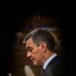 Sesión Plenaria en el Congreso de los Diputados. Comparecencia del presidente del Gobierno Pedro Sanchez. Asis