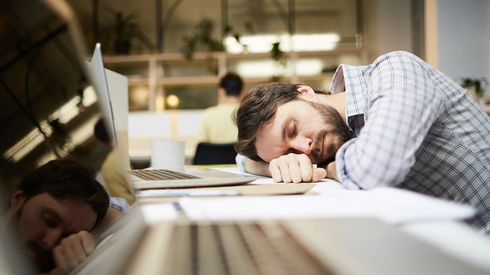 Astenia primaveral: Esta es la razón por la que estamos cansados todo el tiempo