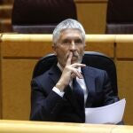 El ministro del Interior, Fernando Grande-Marlaska