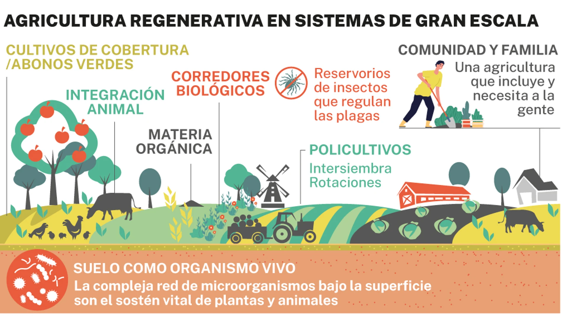 Agricultura regenerativa