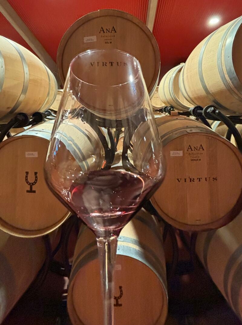 La «cata de barrica» en Virtus es un momento emocionante en la visita a Virtus