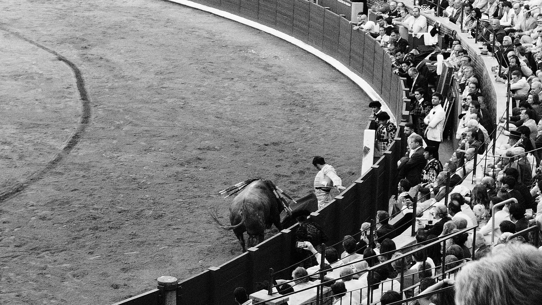 «Tontos, por muy tontos que nos pongamos con el tema, los hay, también en las plazas de toros, y nadie debe considerarse excluido»