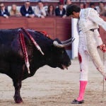 Corrida de toros de San Isidro