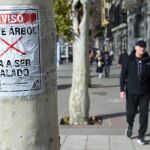 MADRID.-El Defensor del Pueblo ve justificada la tala de árboles por las obras de ampliación de la Línea 11 de Metro