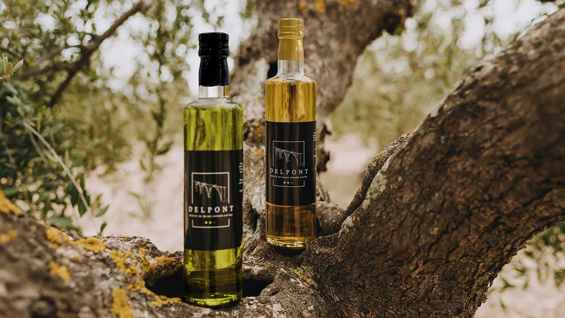 DELPONT no es solo una marca de Aceite de Oliva Virgen Extra, sino que es la encarnación de una tradición ancestral y un compromiso con la calidad